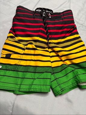 Joe Boxer Boys Multicolor Stripe Swim Trunks - Red, Yellow, Green, Black